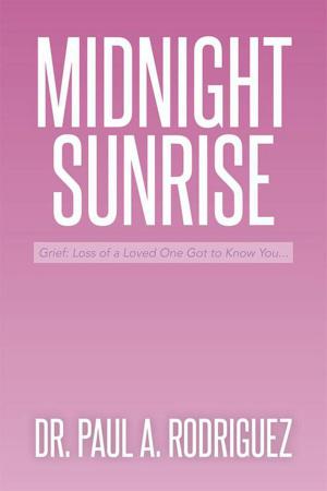 Cover of the book Midnight—Sunrise by Lydie J. Stassart