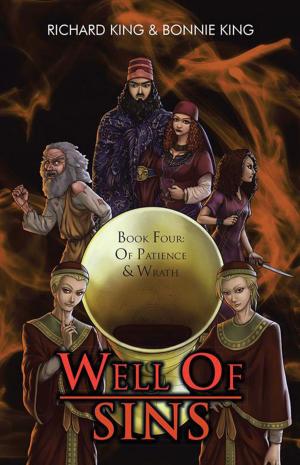 Cover of the book Well of Sins by Deborah Caldwell