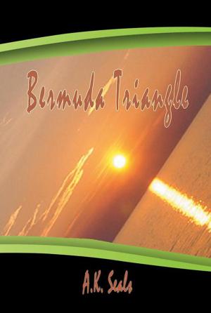 Cover of the book Bermuda Triangle by Daniel Thornton