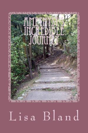 Cover of the book Amethyst's incredible journey by Iyana Jenna