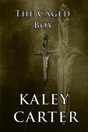 Cover of the book The Caged Boy by Austin J. Bailey