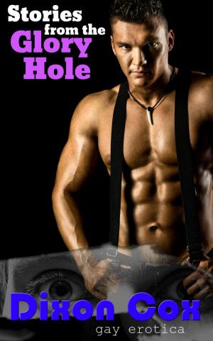 Cover of Stories From The Glory Hole