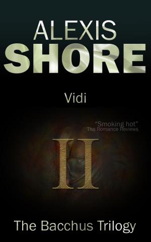 Cover of the book Vidi by C.S Luis