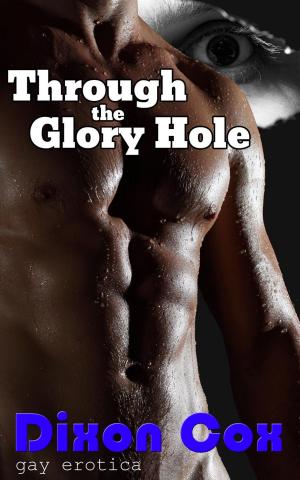 bigCover of the book Through The Glory Hole by 