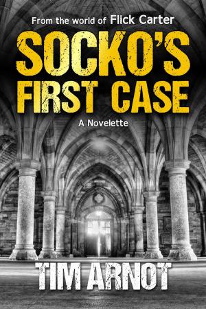 Cover of the book Socko's First Case by Russ Linton