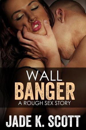 Book cover of Wall Banger - A Rough Sex Story