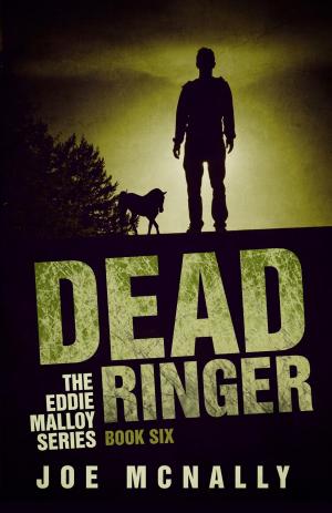 Cover of the book Dead Ringer by Robert W. Stephens
