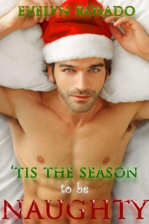 Cover of the book 'Tis The Season To Be Naughty by Monica Mayrie