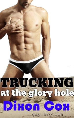 Cover of the book Trucking At The Glory Hole by DM Yates