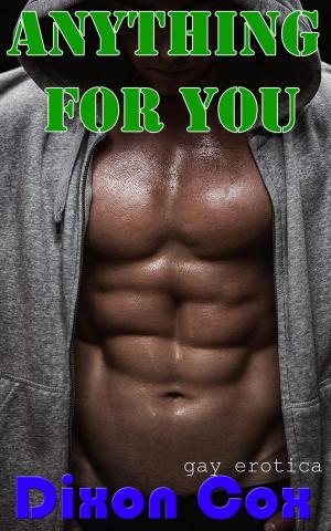 Cover of the book Anything For You by Cindy Cumby