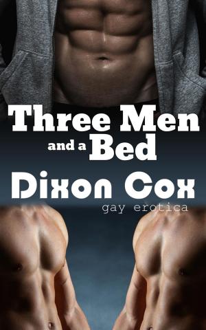 Cover of the book Three Men and a Bed by Dixon Cox