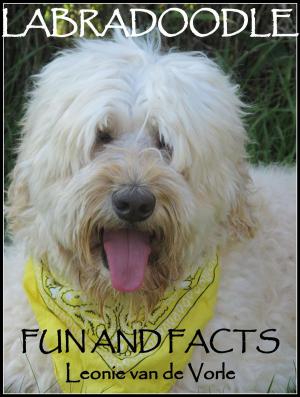 Cover of Labradoodle Fun and Facts