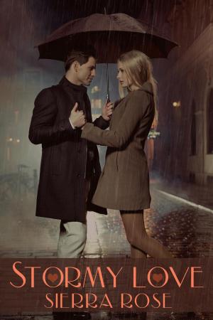 Cover of the book Stormy Love by Katie Porter