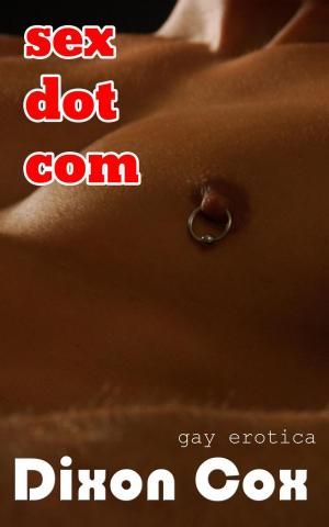 Cover of the book Sex Dot Com: Gay Erotica Collection by Cindy Cumby