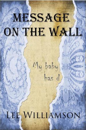 Cover of the book Message on the Wall by Isobel Archer