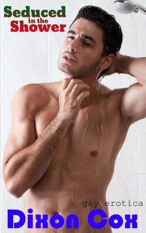 Cover of the book Seduced In The Shower by Dixon Cox
