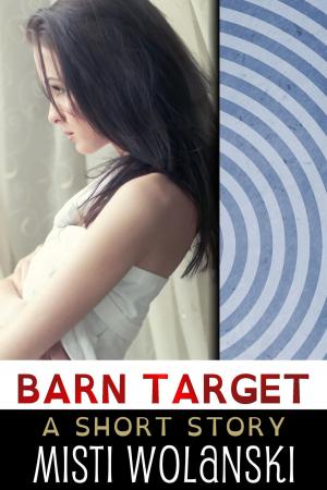 Cover of the book Barn Target by Misti Wolanski