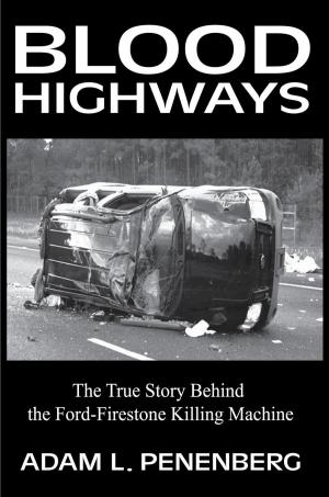 Cover of the book Blood Highways by David A. Wolf