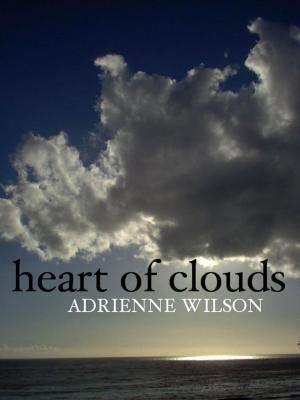 Book cover of Heart of Clouds