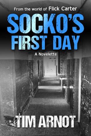 Cover of the book Socko's First Day by Vivek Pereira