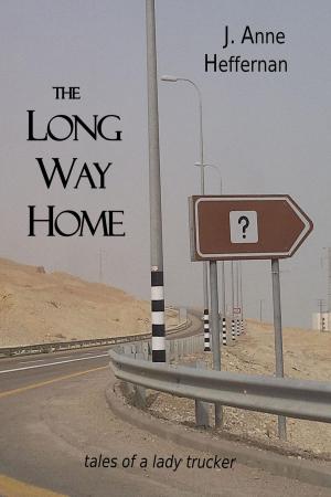 Cover of the book The Long Way Home by Anthony Idalion