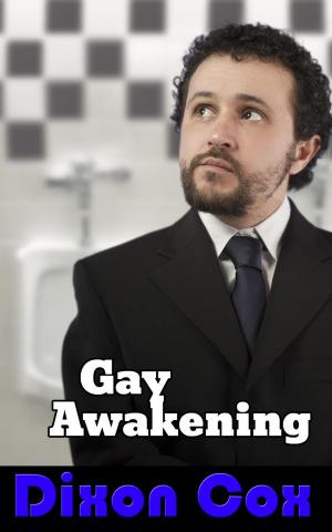 Book cover of Gay Awakening