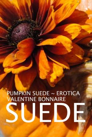 Book cover of Pumpkin Suede