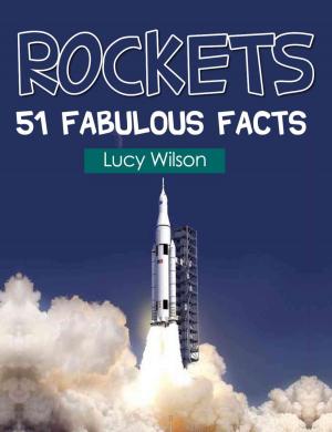 Cover of the book Rockets: 51 Fabulous Facts by Lucy Wilson
