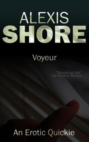 Book cover of Voyeur