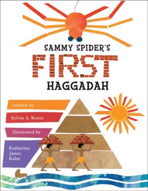 Cover of the book Sammy Spider's First Haggadah by Brian P. Cleary