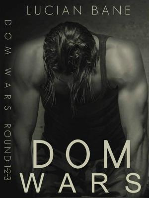Cover of the book Dom Wars Round 1, 2, 3 by Jeremy D. Hill