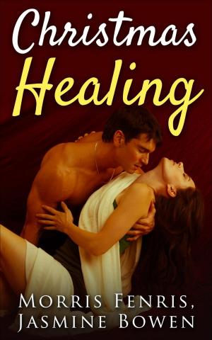 Cover of the book Christmas Healing by Lynn Vroman