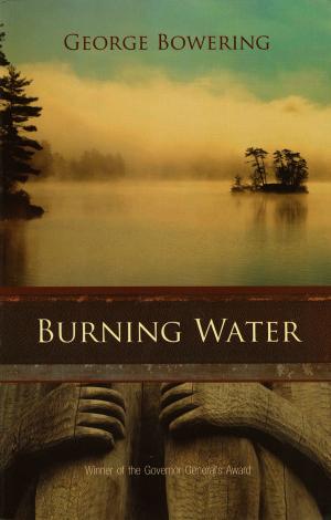 Cover of the book Burning Water by Octave Feuillet