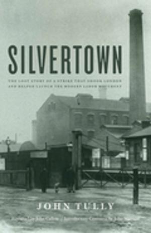 Cover of the book Silvertown by Robert D. McChesney