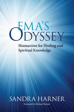 Cover of the book Ema's Odyssey by Terry Patten