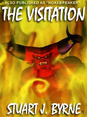 Cover of the book The Visitation by Steven J Pemberton