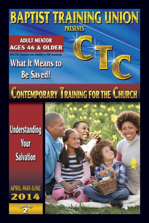 Cover of the book Adult Mentor by Rev. Montgomery Richard