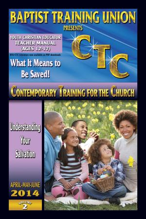 Cover of the book Youth Christian Educator by Lauryn Sullivan