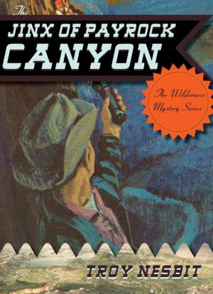 Cover of the book The Jinx of Payrock Canyon by Valeri R. Helterbran