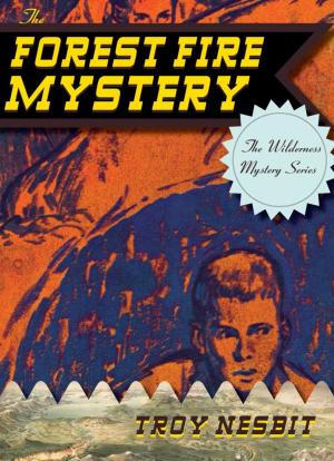 Cover of the book The Forest Fire Mystery by Mickey Little