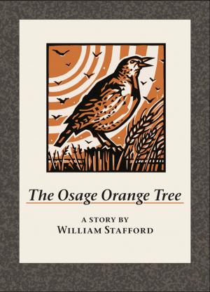 Cover of the book The Osage Orange Tree by San Antonio Museum of Art, Madeleine Budnick