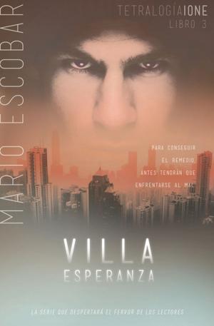 Cover of the book Villa Esperanza by Todd Burpo