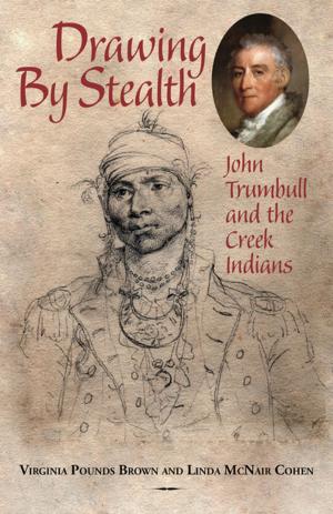 Cover of the book Drawing by Stealth by Julie Hedgepeth Williams