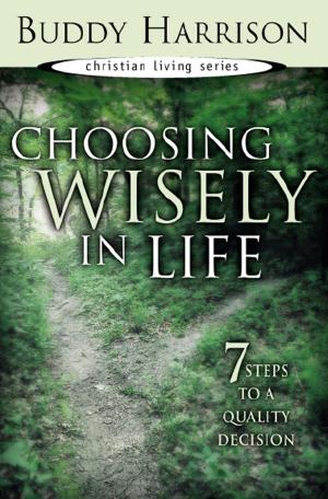 bigCover of the book Choosing Wisely in Life by 