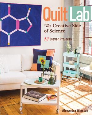 Cover of the book Quilt Lab-The Creative Side of Science by Casey York