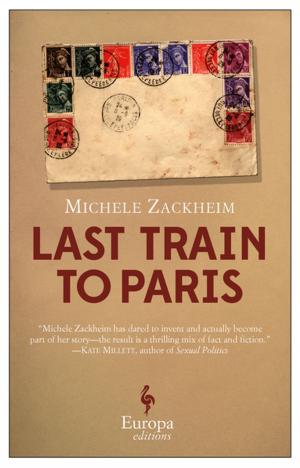 Cover of the book The Last Train to Paris by Liam McIlvanney