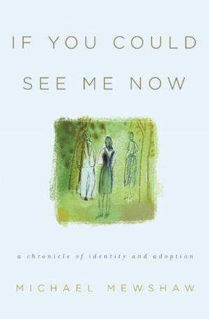 Cover of the book If You Could See Me Now by Dirk Lammers