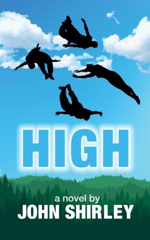 Cover of the book High by 