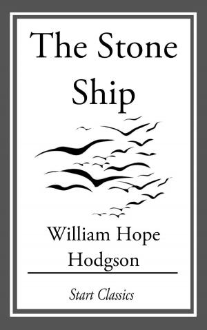 Book cover of The Stone Ship