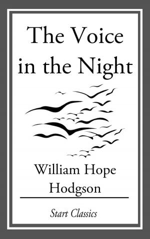 Book cover of The Voice in the Night